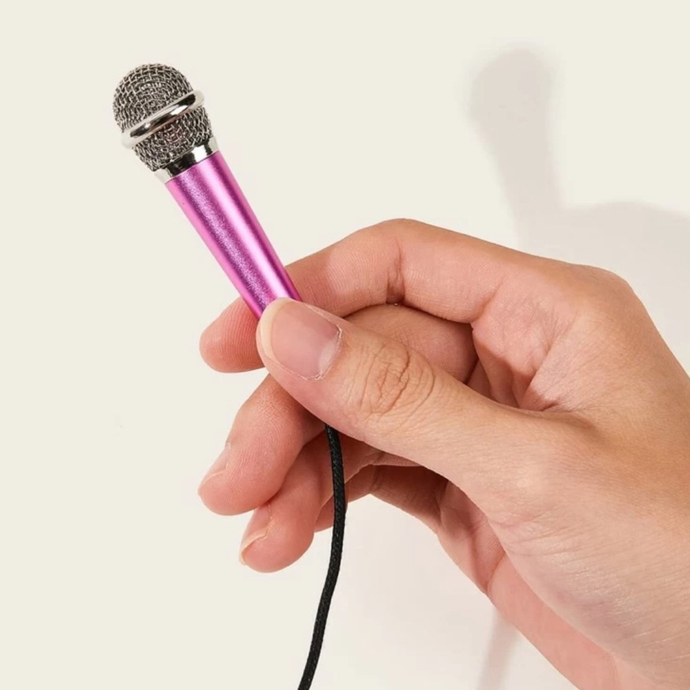 Portable Wired Mini Microphone